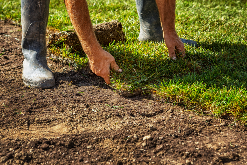 Sod Installation Lakeland FL